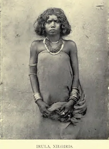 Image2