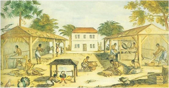 Image12