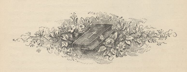 Image25