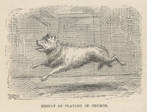 Image30