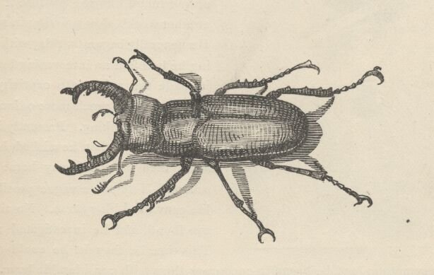 Image32