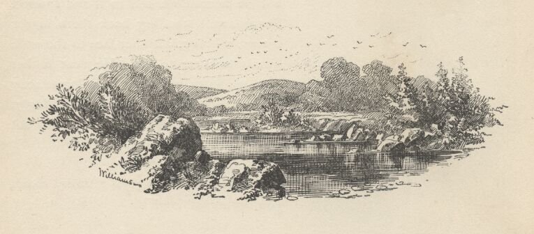 Image42