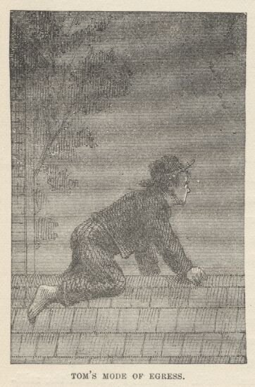 Image48