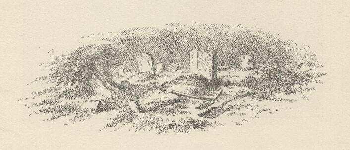 Image51