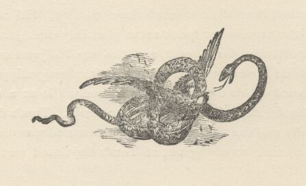 Image59