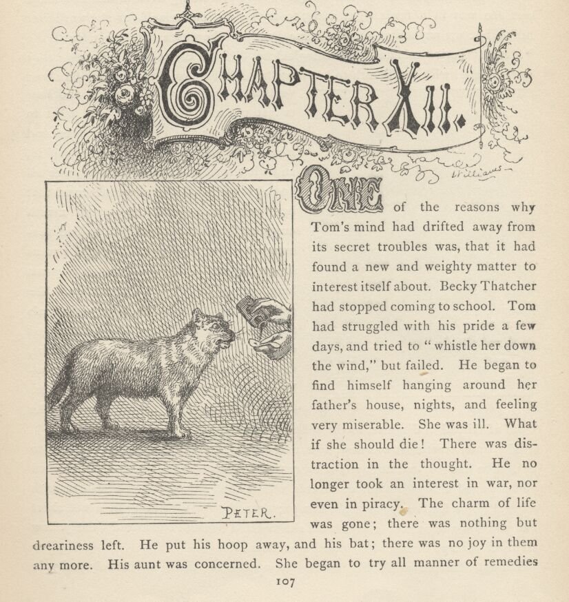 Image60