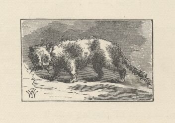 Image63