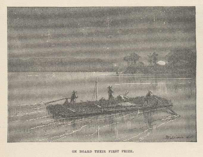 Image65