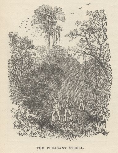 Image69