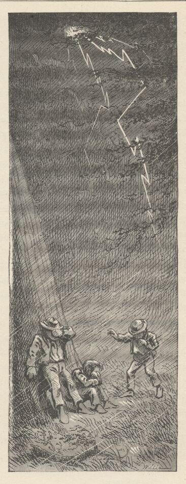 Image78