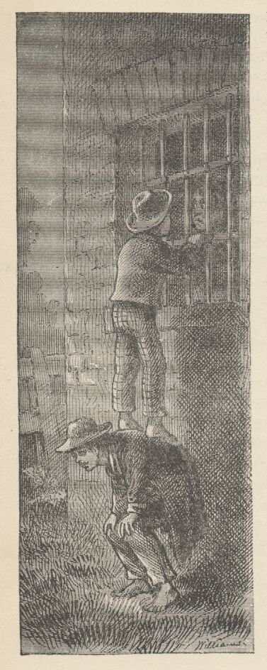 Image106
