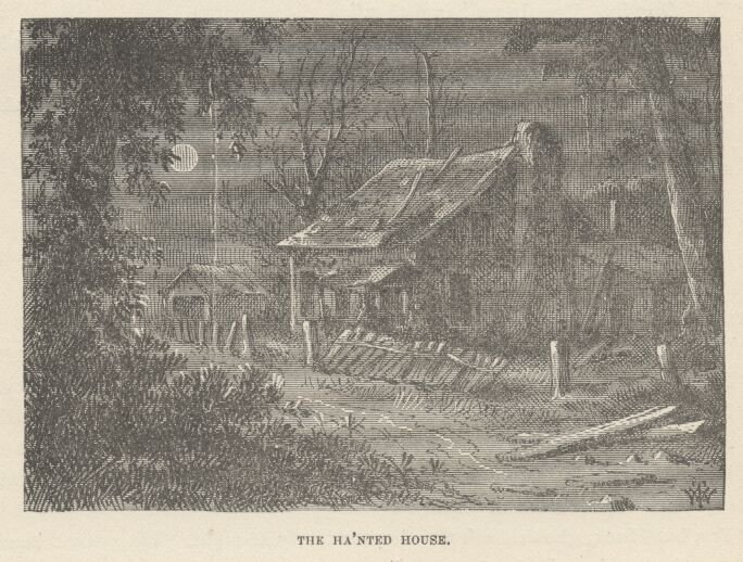 Image116