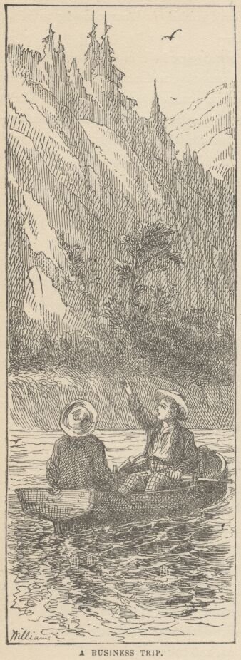 Image154