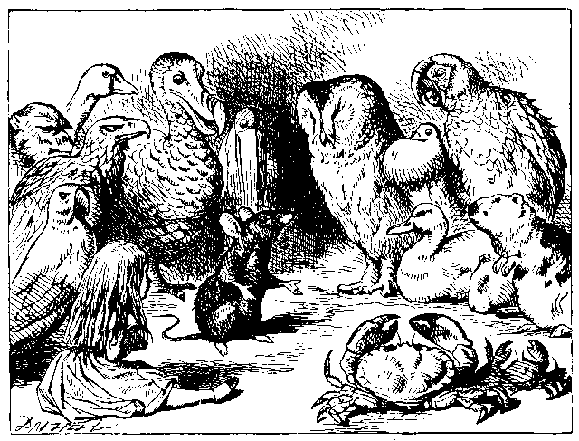Image8