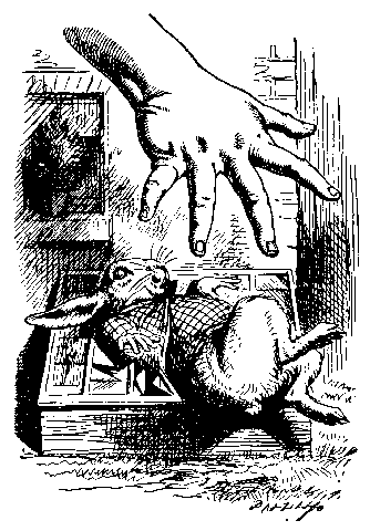 Image10