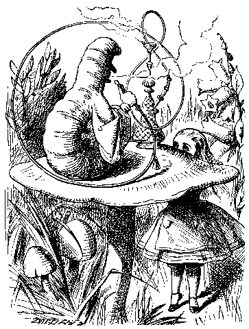 Image13