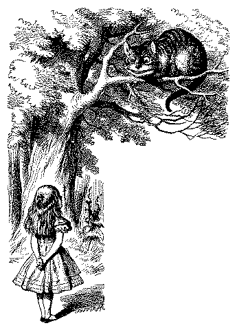 Image21