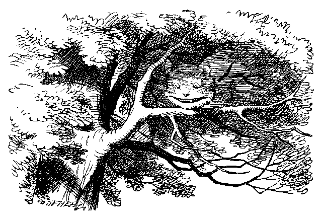 Image22