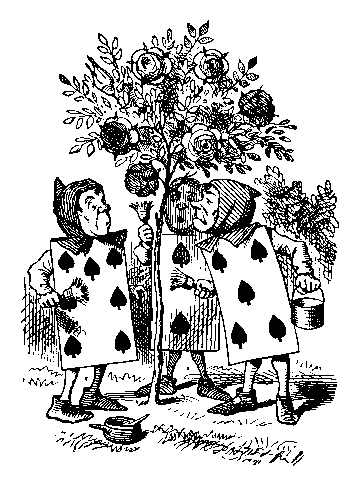 Image26