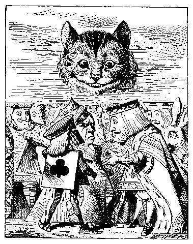 Image29