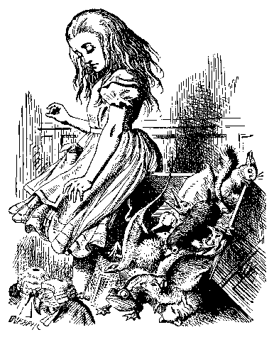 Image38