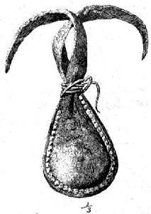 Fig. 433.—Bag containing hoddentin.