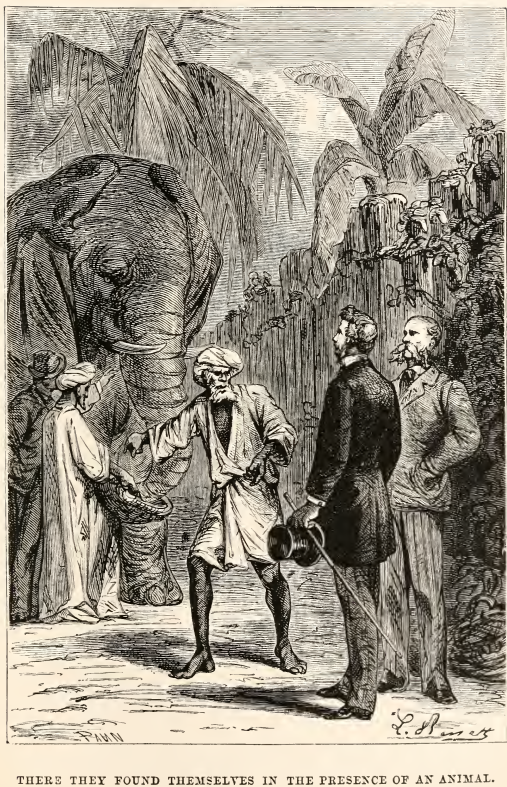 Image14