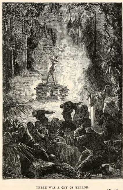 Image19