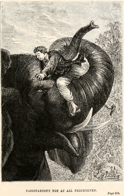 Image20