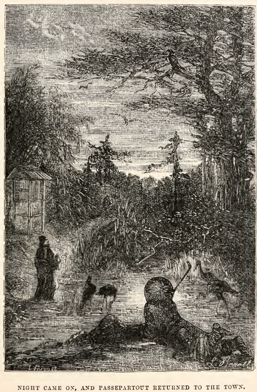 Image32