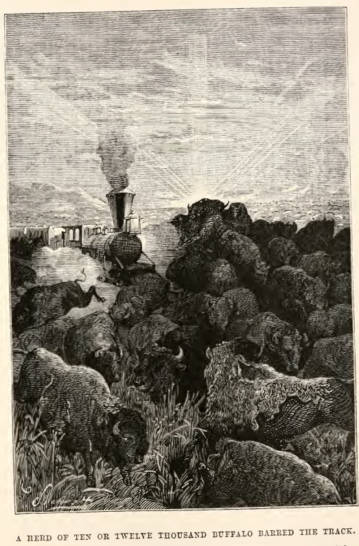 Image39