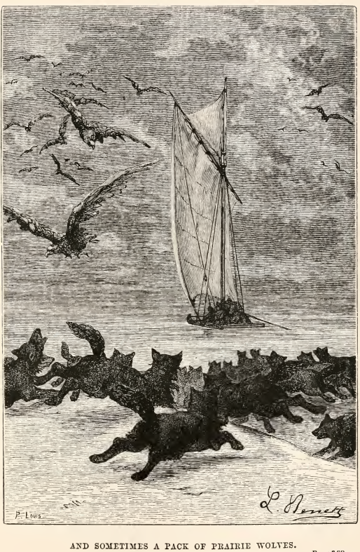 Image49