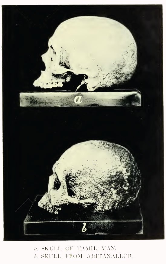 TamilSkul.jpg