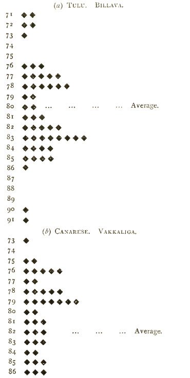 L2.jpg