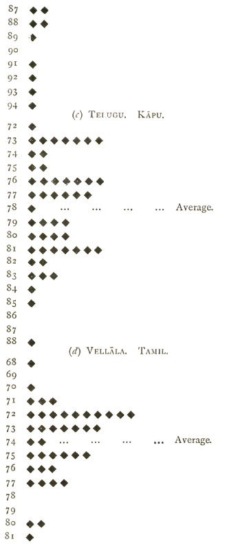 l3.jpg
