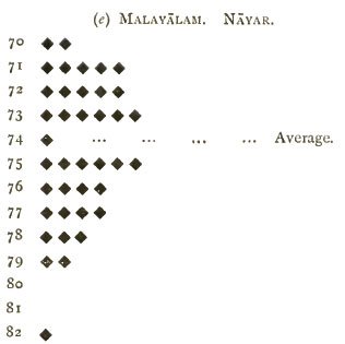 l4.jpg