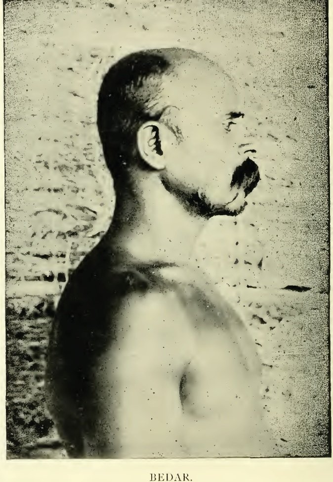 Image27