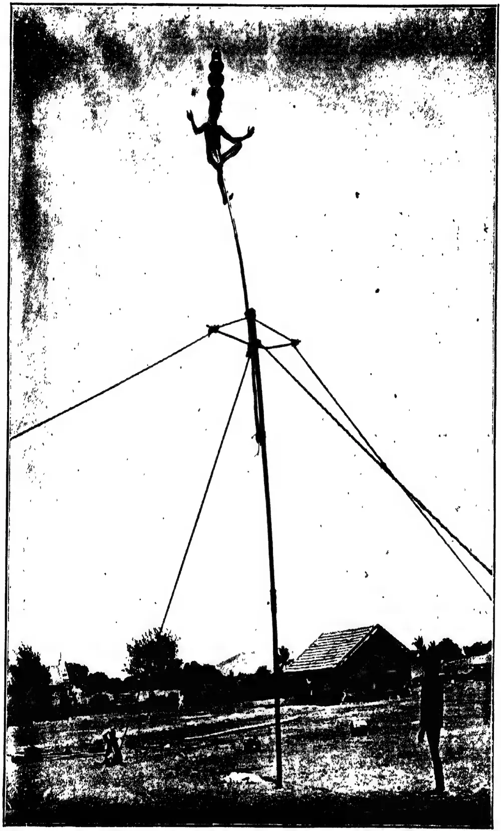 Āre Dommara acrobat