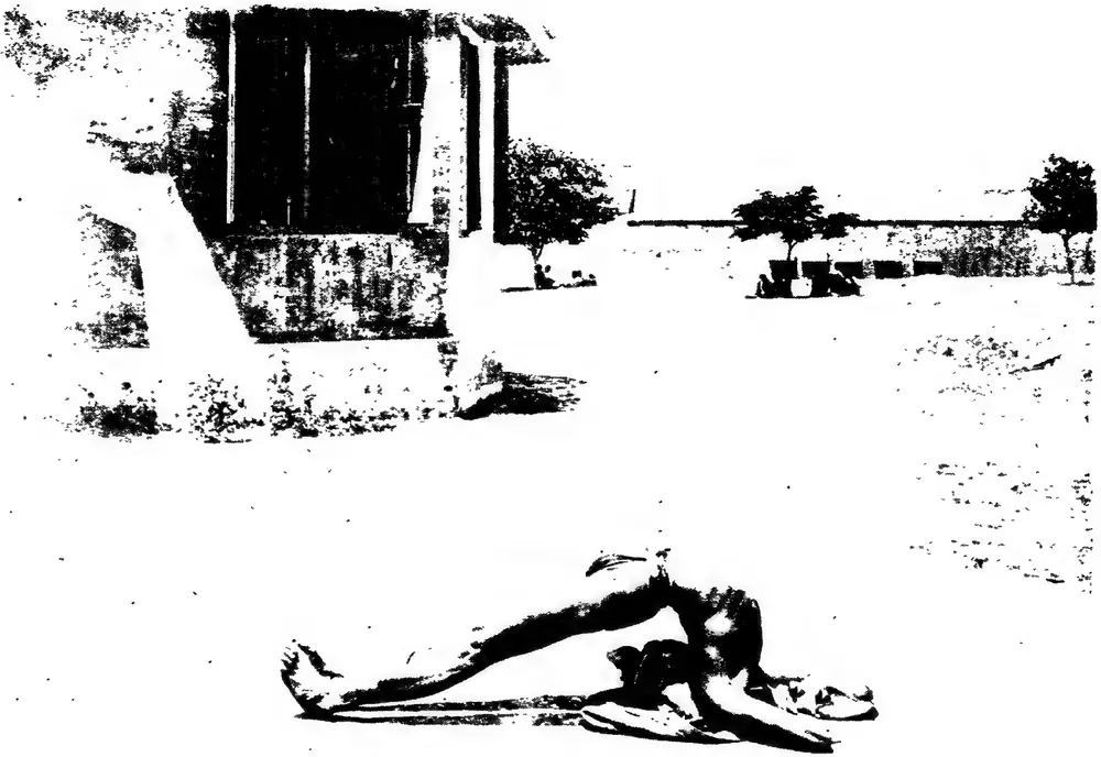 Āre Dommara acrobat
