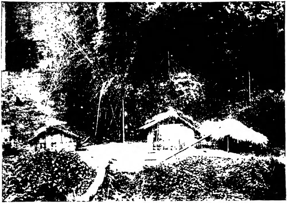 Kādir huts