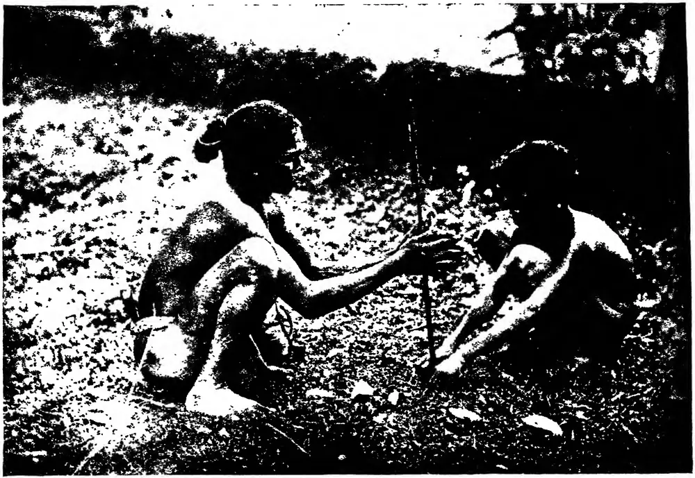 Kānikars making fire