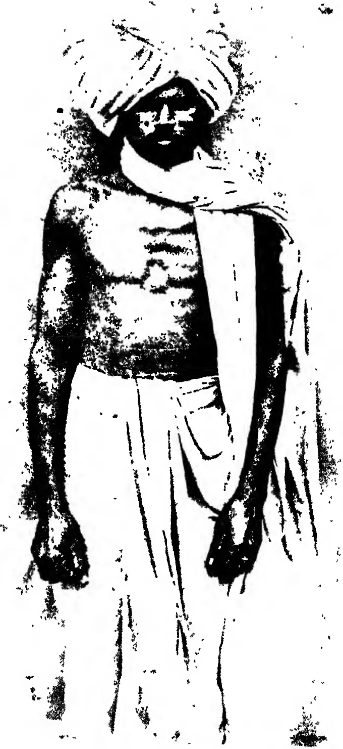 Kāpu