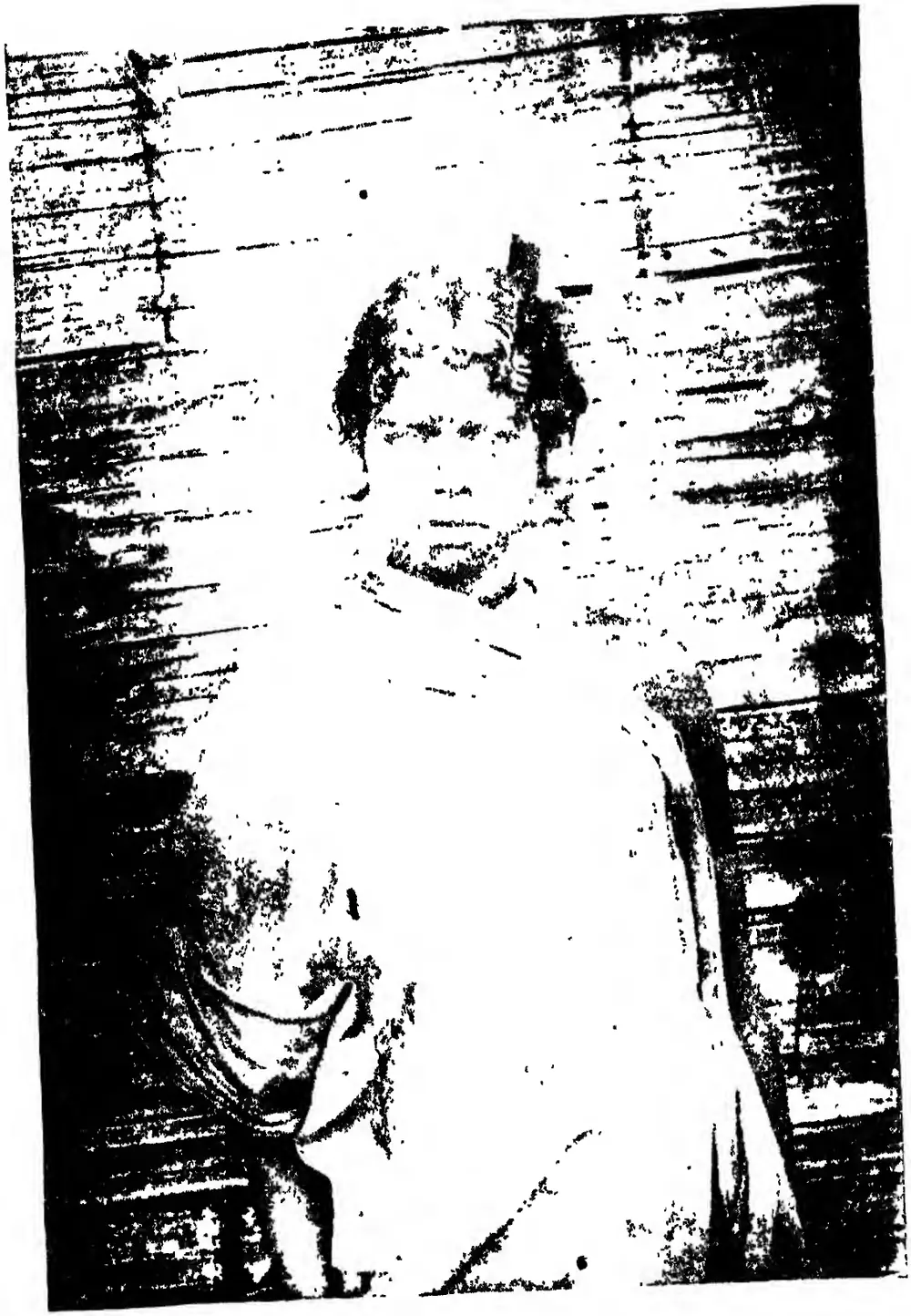 Kādir girl wearing comb