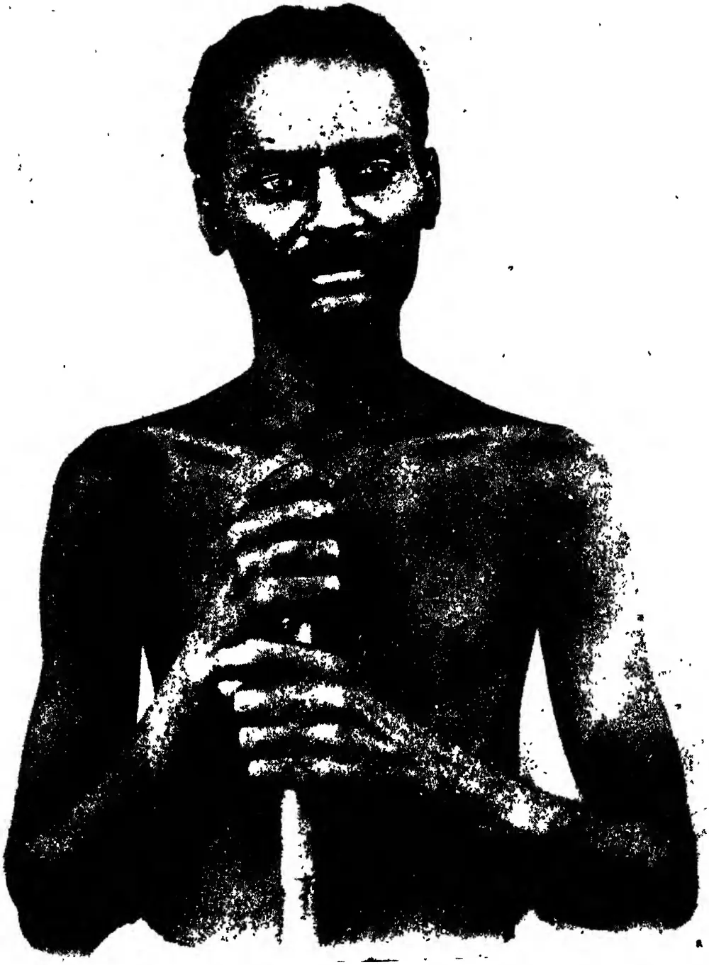 Korava
