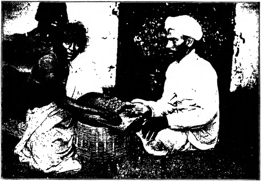 Korava woman telling fortune