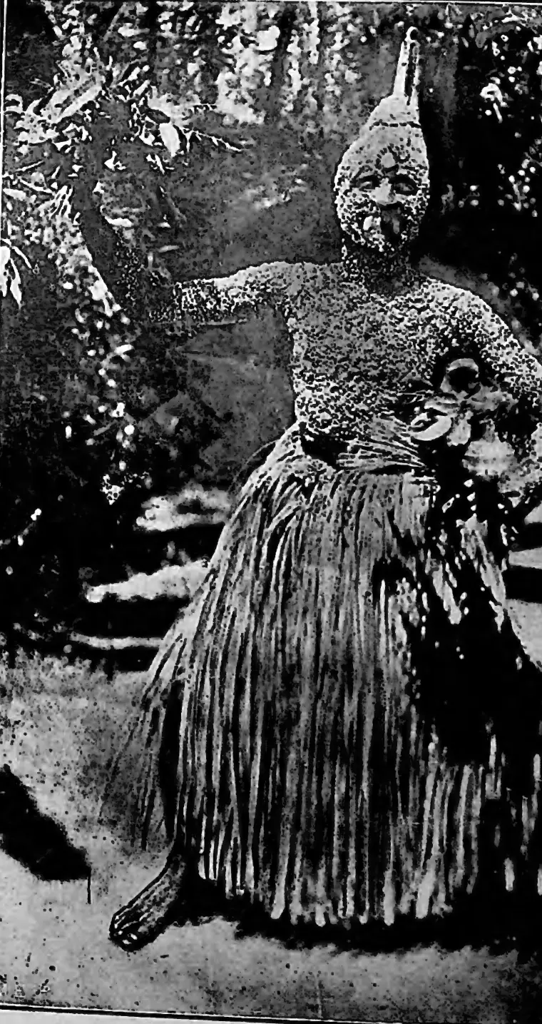 Malayan devil-dancer