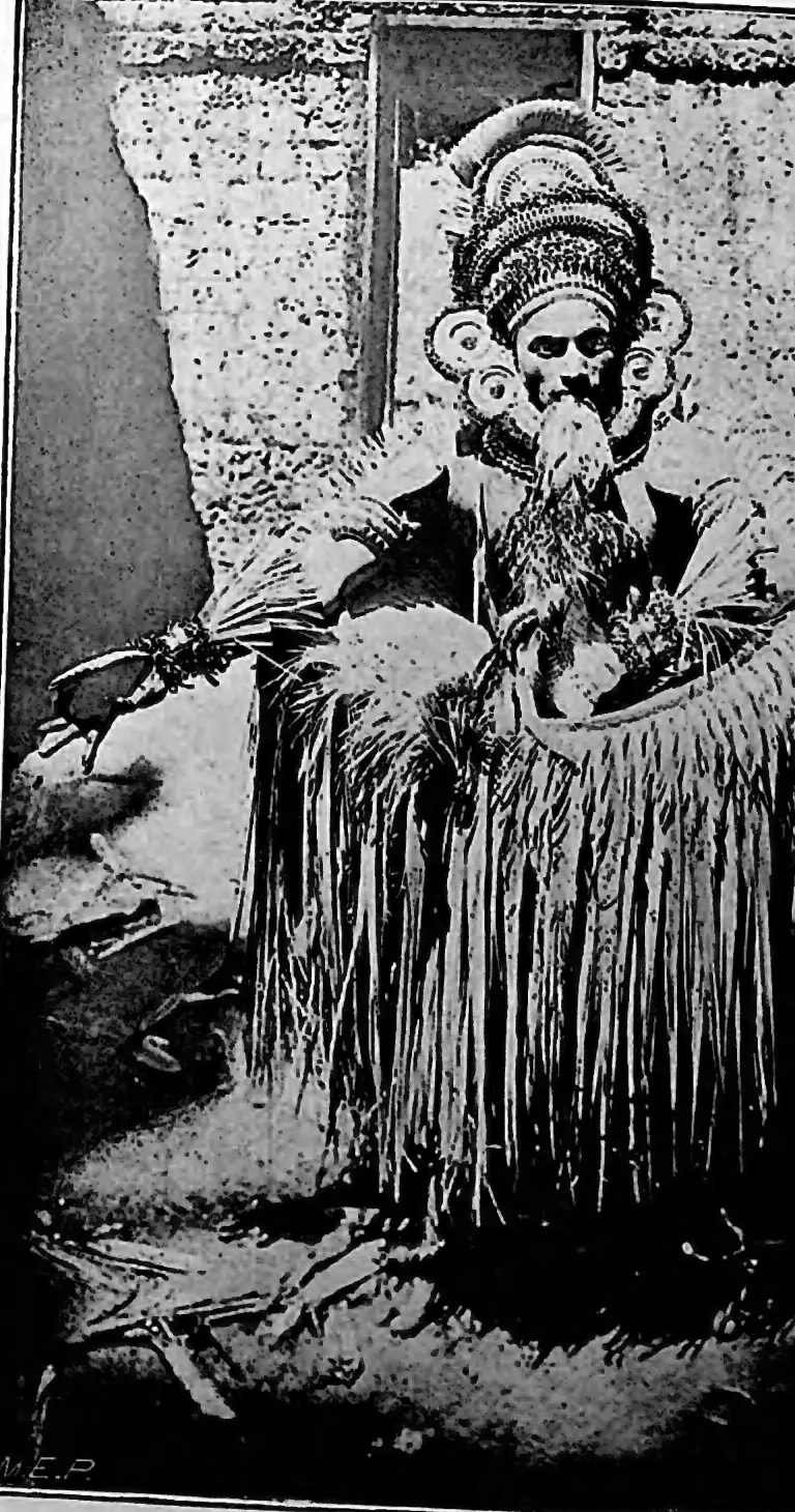 Malayan devil-dancer with fowl in mouth