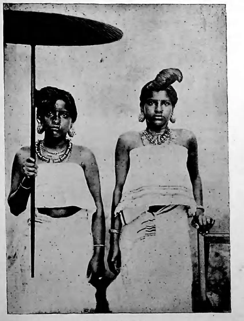 Nāyar females