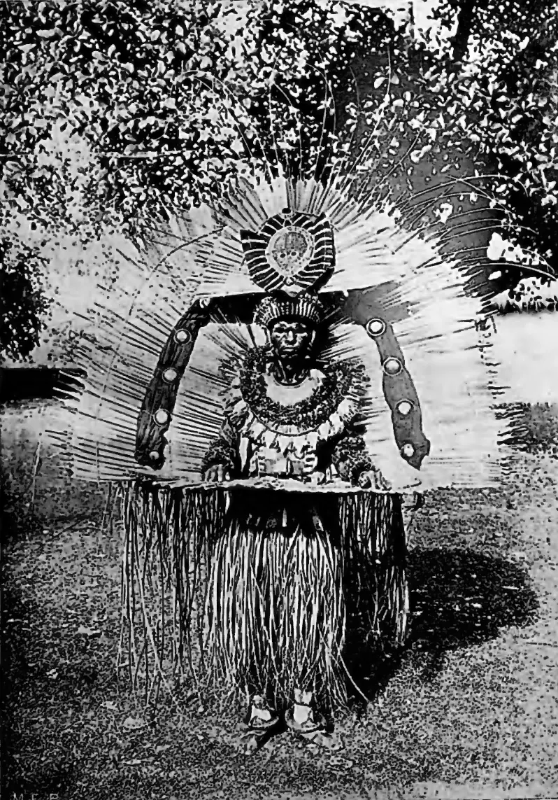 Parava devil-dancer
