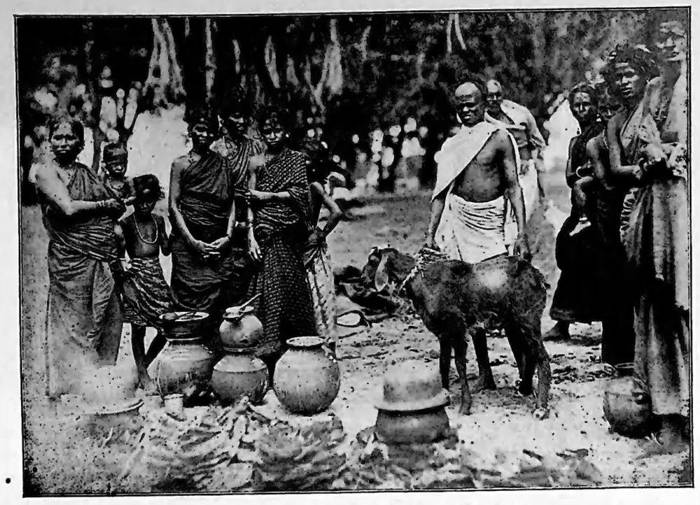 Pallis performing pongal ceremony